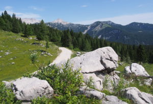 Velika Planina