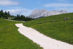 Velika Planina