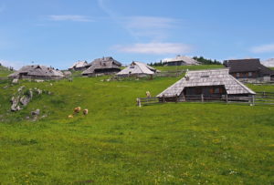 Velika Planina