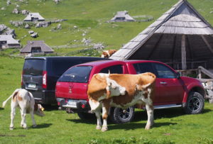 Velika Planina