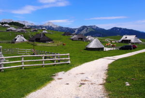 Velika Planina