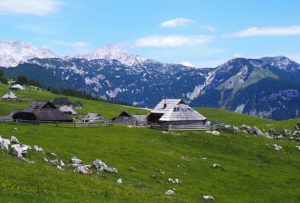 Velika Planina