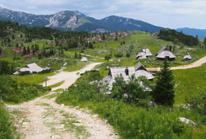 Velika Planina